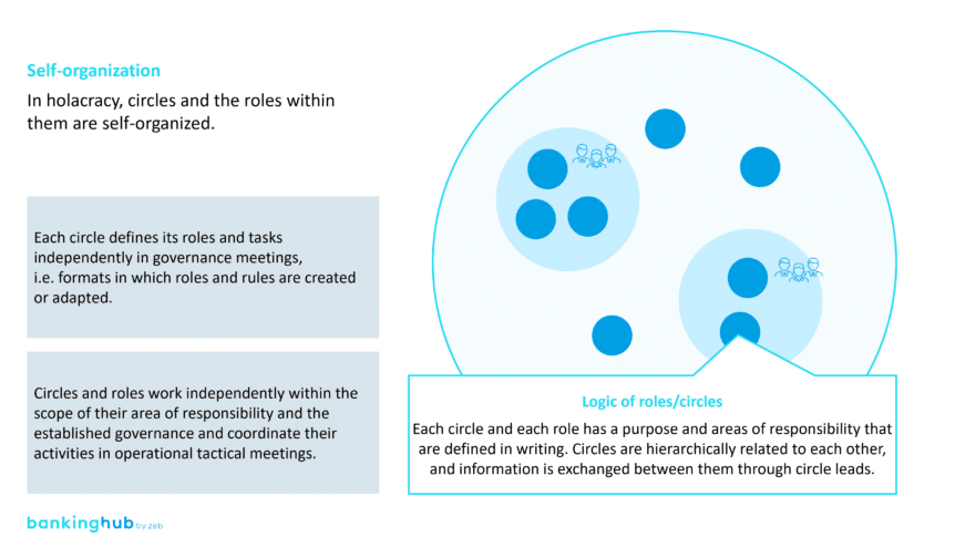 Holacracy: Self-organisation