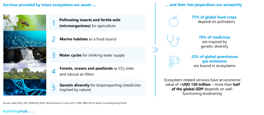 5 key ecosystem-related services, which are essential for the global economy and prosperity according to Heal (2023)